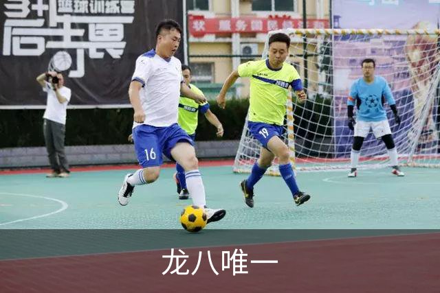 龙八唯一公司简介展示图